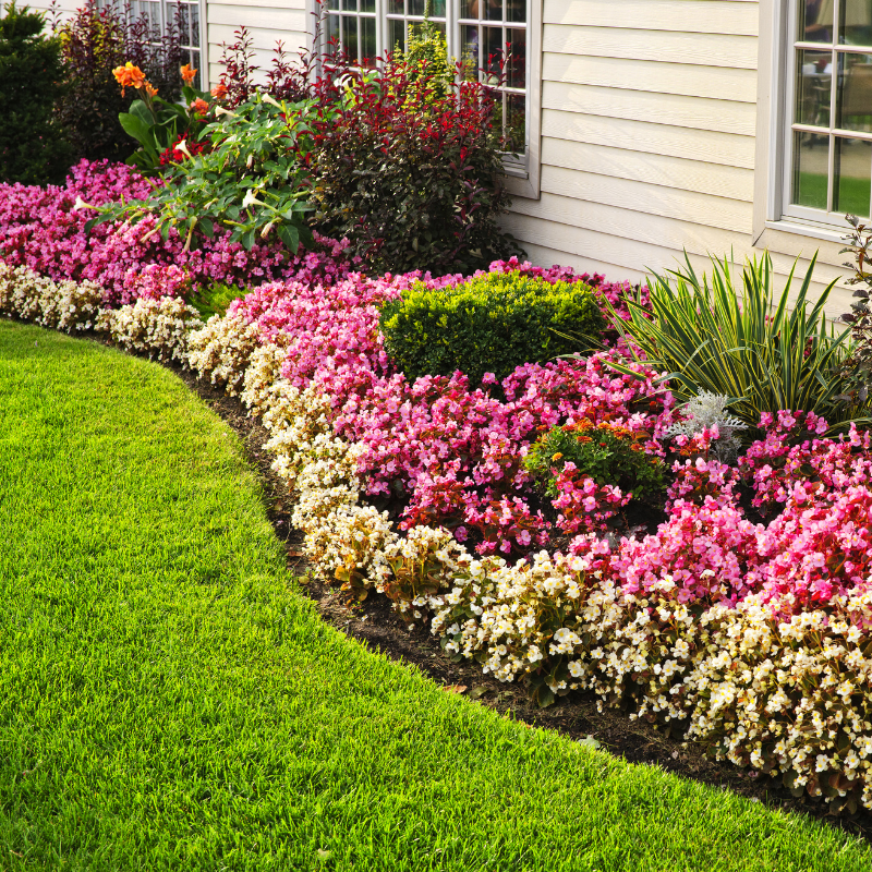 Landscaping, Sod, and Patios